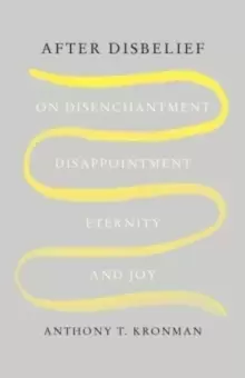 Image of After Disbelief : On Disenchantment, Disappointment, Eternity, and Joy