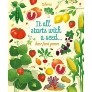 Image of Big Picture Book How Food Grows