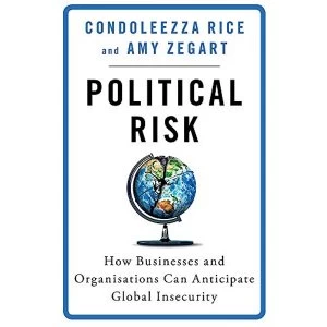 Image of Political Risk Paperback 2018
