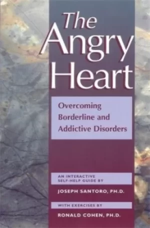 Image of The angry heart by Joseph Santoro