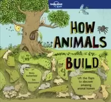 Image of How Animals Build