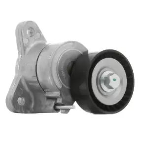 Image of RIDEX Tensioner Pulley 310T0251 Tensioner Pulley, v-ribbed belt FIAT,PEUGEOT,CITROEN,Freemont (345_),4007 (VU_, VV_),4008 SUV,C-CROSSER (EP_)