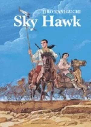 Image of sky hawk