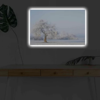 Image of 4570KARDACT - 010 Multicolor Decorative LED Lighted Canvas Painting