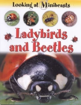 Image of Ladybirds and Beetles by Sally Morgan Paperback
