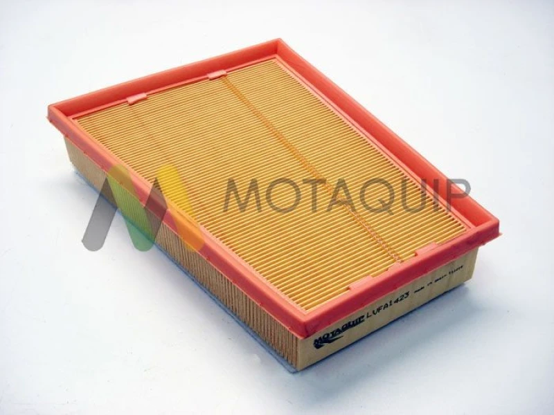 Image of MOTAQUIP Air filter MOTAQUIP LVFA1423