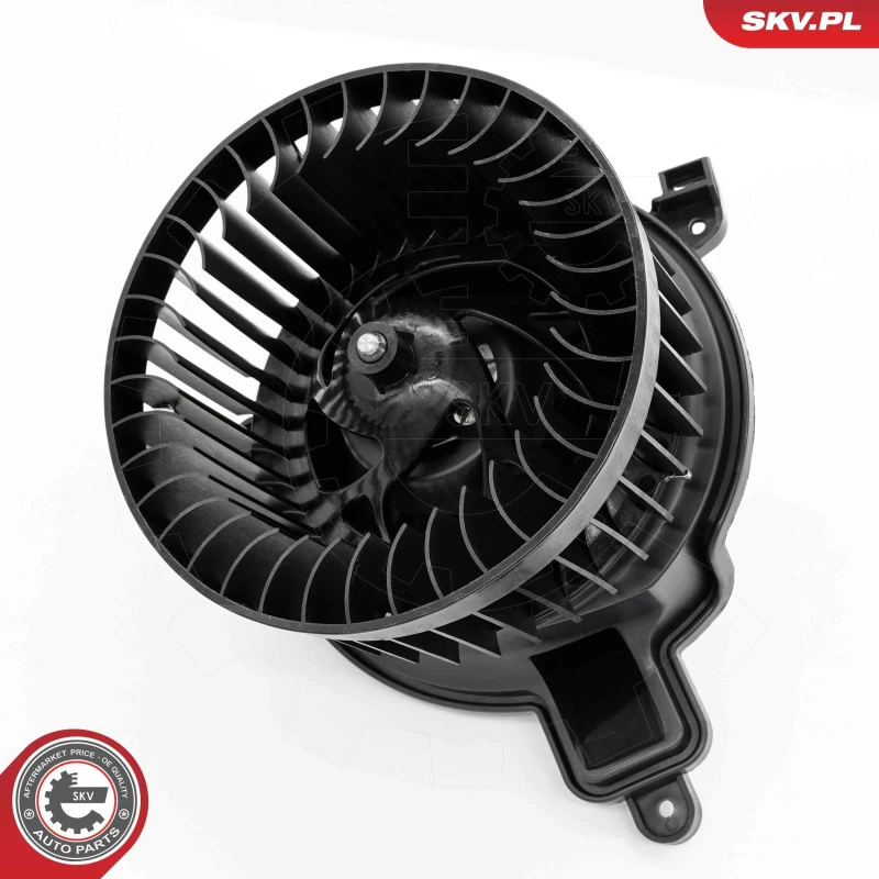 Image of ESEN SKV Blower motor ESEN SKV 68SKV181