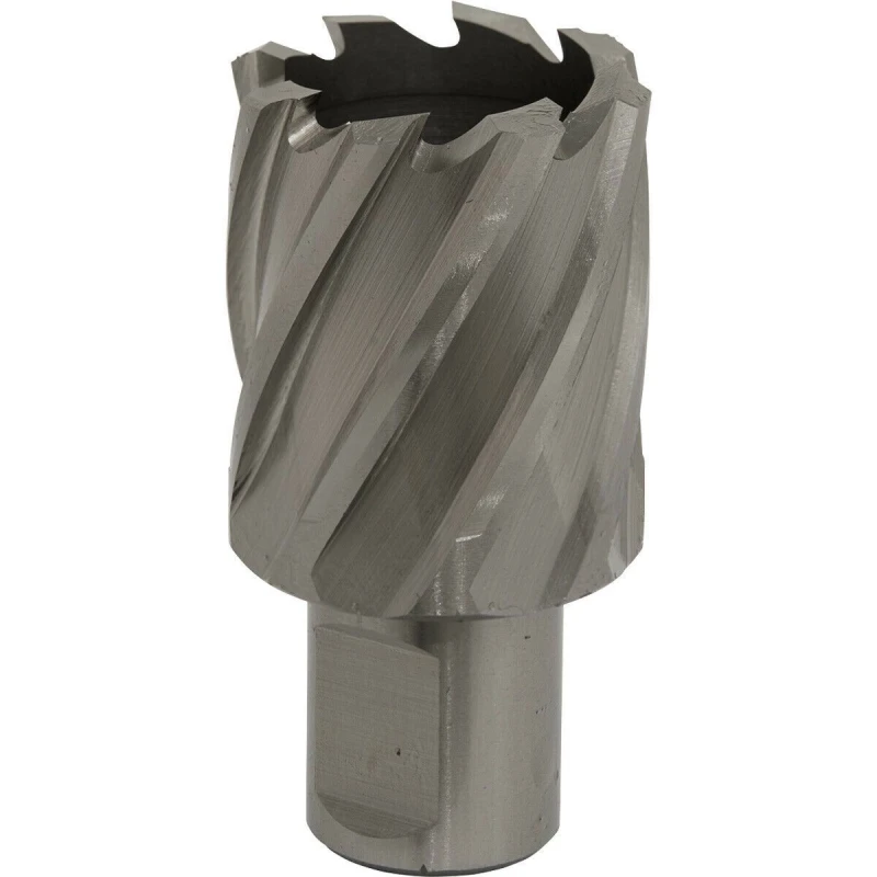 Image of Loops 33mm x 25mm Depth Rotabor Cutter - M2 Steel Annular Metal Core Drill 19mm Shank Metallics