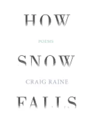 Image of how snow falls