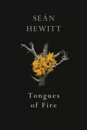 Image of Tongues of fire by Sen Hewitt