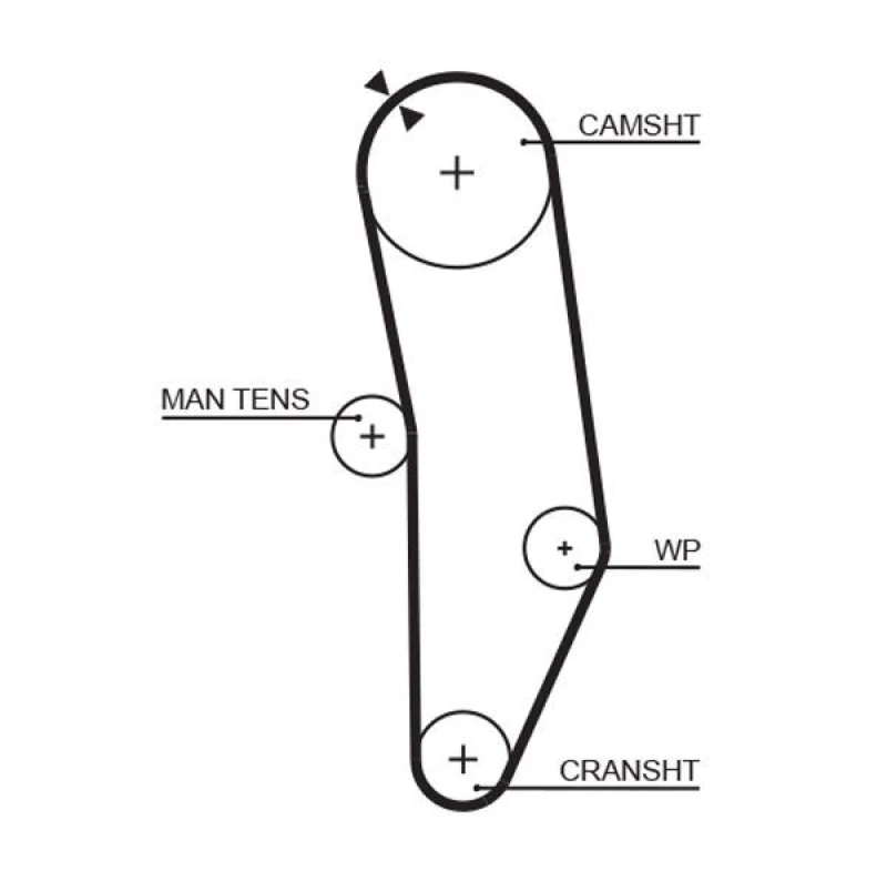 Image of GATES Timing Belt GATES 5010