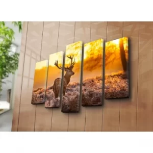 Image of 5NATPAT-18 Multicolor Decorative Canvas Painting (5 Pieces)