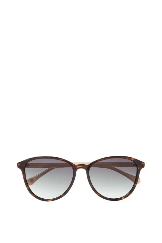 Image of Ted Baker Womens Tierney Sunglasses in Brown Brown Female One Size