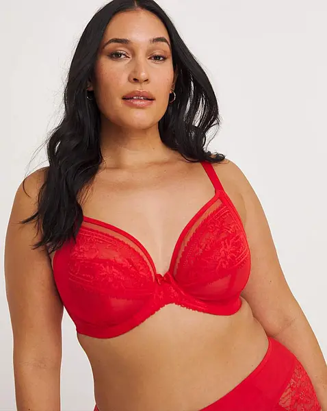 Image of Elomi Elomi Kendra Plunge Wired Bra Cherry Cherry Female 40DD HQ48351