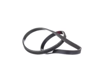 Image of RIDEX V-ribbed belt BMW,RENAULT,FIAT 305P0351 11287803527,64557803527,96239401 96239401,71719174,71749424,7651197,7651198,7765716,2312728100,7651197
