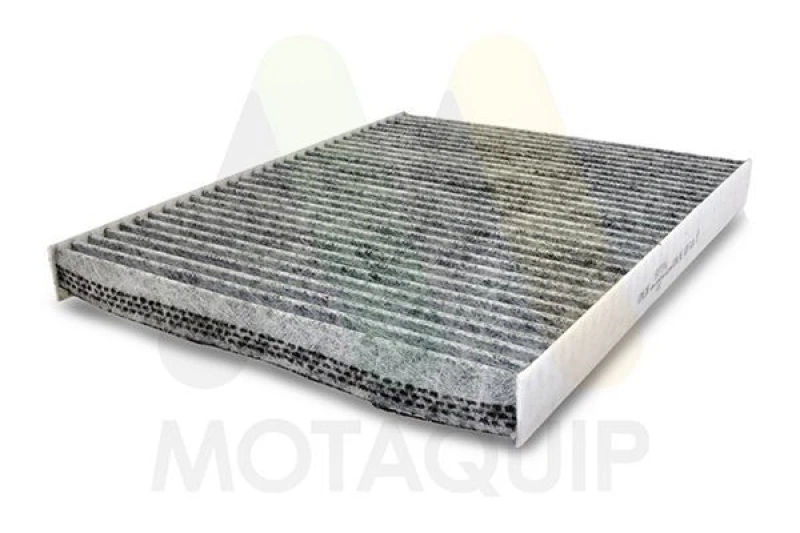 Image of MOTAQUIP Pollen filter MOTAQUIP LVCF552