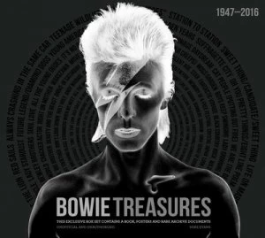 Image of Bowie Treasures by Mike Evans Hardback