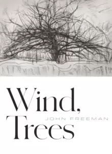 Image of Wind, Trees