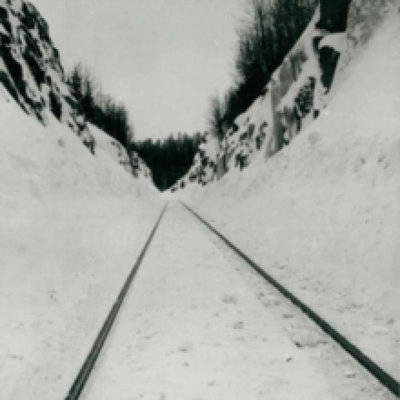 Image of Thin Peaks Vinyl
