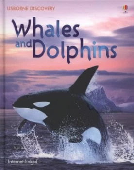 Image of Whales and Dolphins by Susanna Davidson and John Woodcock and Snia Mendes Hardback