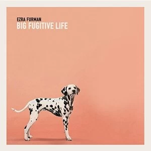 Image of Ezra Furman - Big Fugitive Life Vinyl