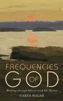 Image of Frequencies of God by Carys Walsh