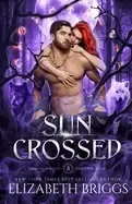 Image of sun crossed