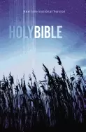 Image of niv outreach bible paperback blue