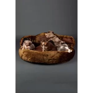 Image of Scruffs Cub Bear Dog Bed