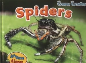 Image of Spiders by Sian Smith Hardback