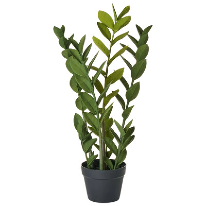 Image of Beliani Artificial Plant Zamiifolia 76cm Green