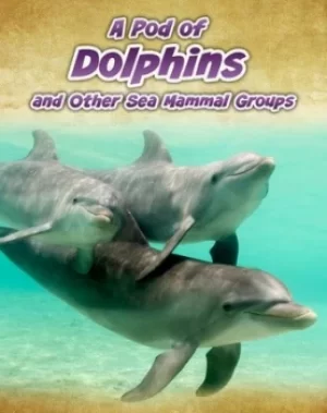 Image of A pod of dolphins and other sea mammal groups by Richard Spilsbury