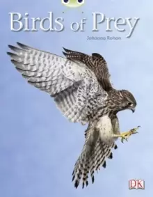 Image of Bug Club Independent Non Fiction Year Two White A Birds of Prey