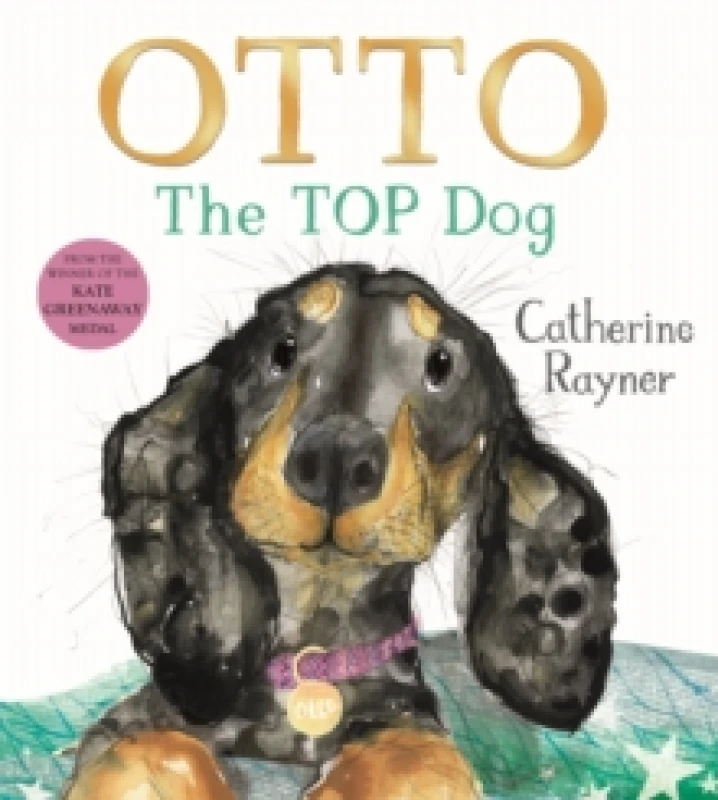 Image of Otto The Top Dog Paperback / softback