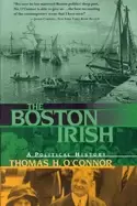 Image of boston irish a political history