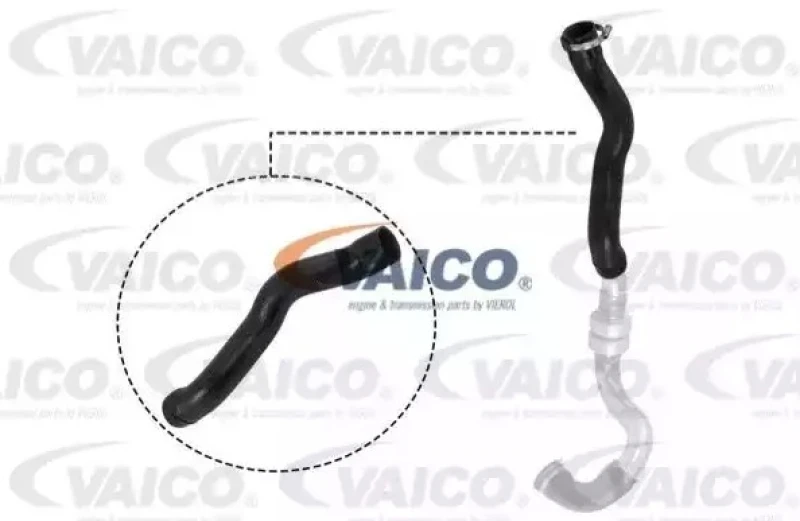 Image of Charger intake hose VAICO V21-0025