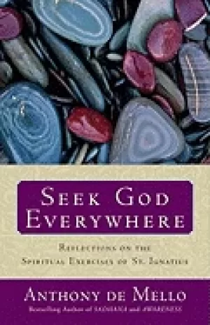 Image of seek god everywhere reflections on the spiritual exercises of st ignatius
