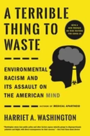 Image of terrible thing to waste environmental racism and its assault on the america