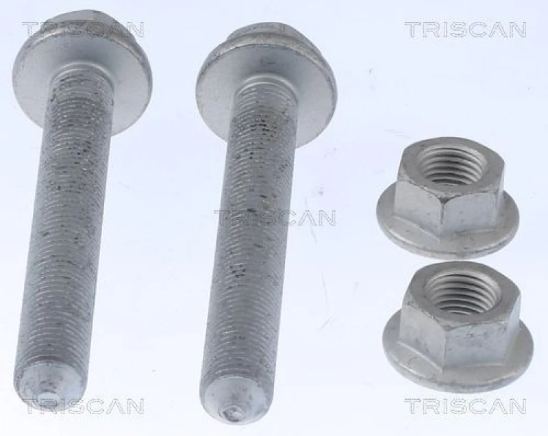 Image of TRISCAN Repair kit, wheel suspension TRISCAN 8500 29417