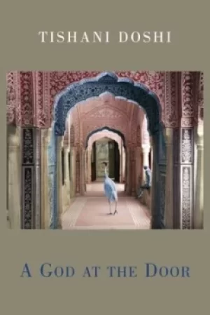 Image of A God at the door by Tishani Doshi