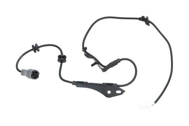 Image of KAVO PARTS BAS-9146 ABS Sensor Rear Axle Right Sensor,wheel speed (412)