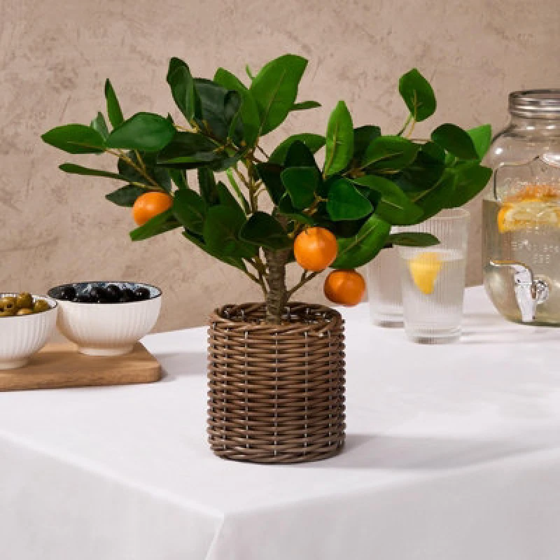 Image of OHS OHS Artificial Orange Tree Plant in Pot Kitchen New Home Natural Style in Burnt Orange Burnt Orange One Size Unisex 5027434208869