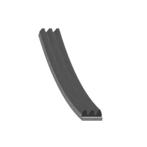 Image of Auxiliary Belt - Multi-Rib AD03R890 by Blue Print