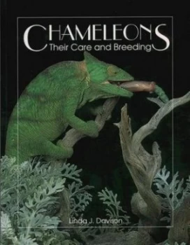 Image of Chameleons by Linda J Davison Book