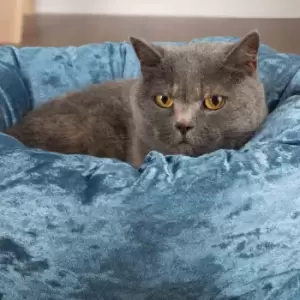 Image of Scruffs Velvet Pet Bed - Blue