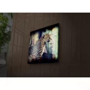 Image of 2828?ACT-50 Multicolor Decorative LED Lighted Canvas Painting