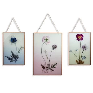 image of Arthouse Wildflowers Wall Art - Set of 3