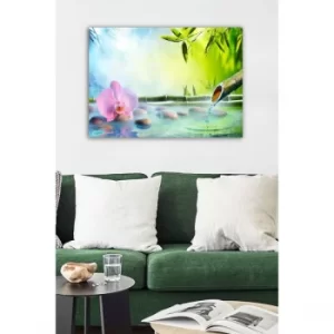 Image of 1119533147-5070 Multicolor Decorative Canvas Painting Flower & Stones