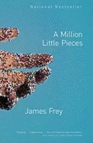 Image of million little pieces