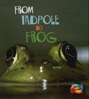 Image of From Tadpole to Frog by Anita Ganeri Book